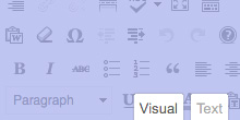 WordPress Wysiwyg