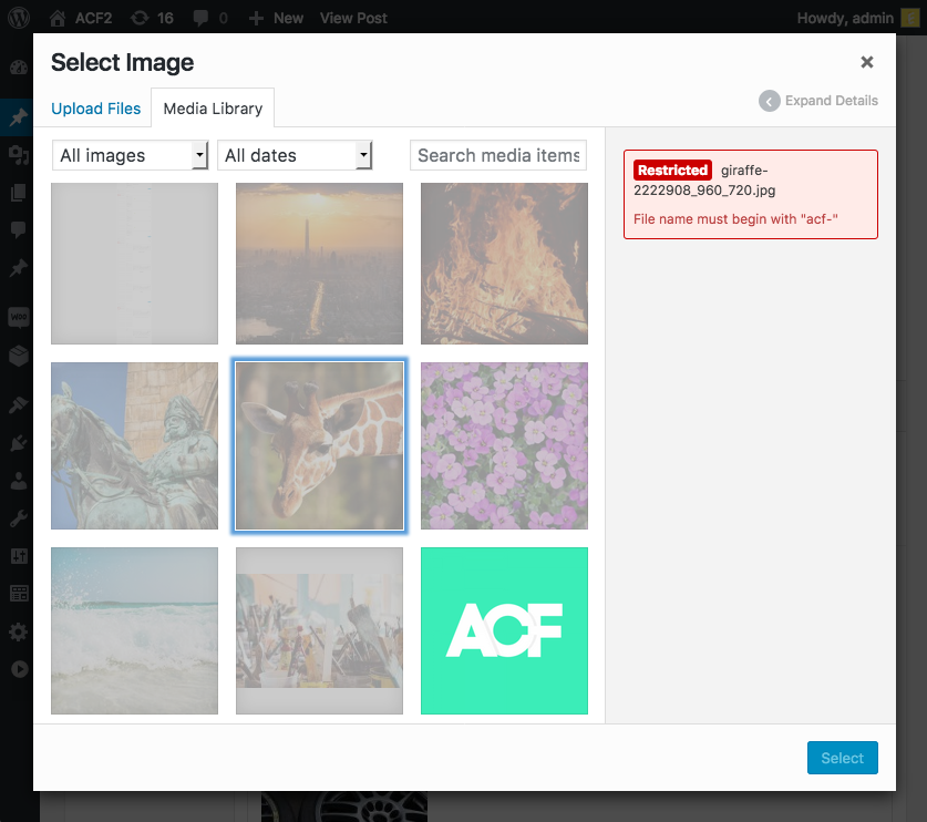 An error message displayed in the WP media modal preventing an attachment from being selected.