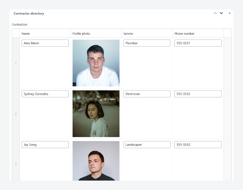ACF repeater fields entries