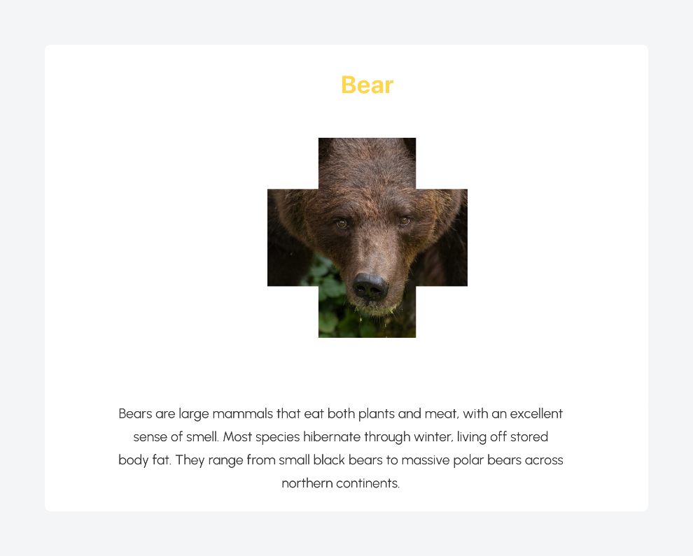 ACF custom post type displaying using a Bricks template