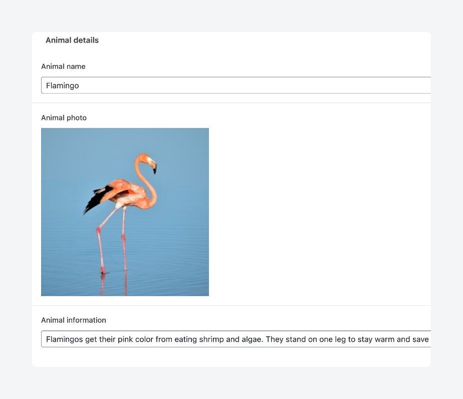 Filling in animal details ACF meta boxes