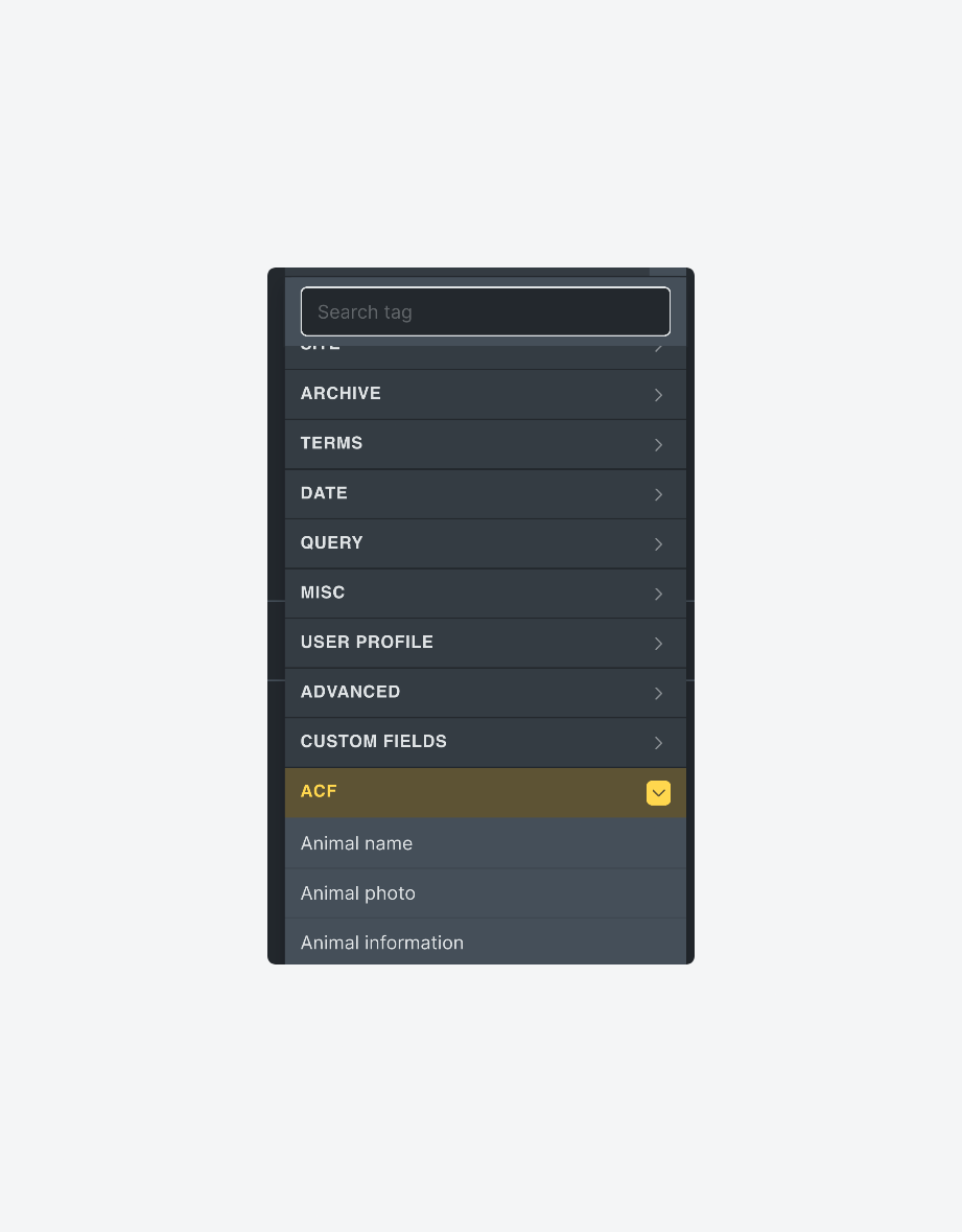Choosing ACF fields for dynamic data in Bricks Builder