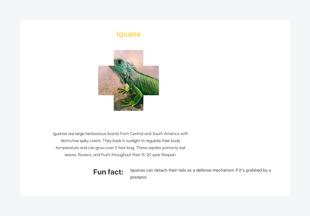 Displaying conditional content with ACF and Bricks Builder